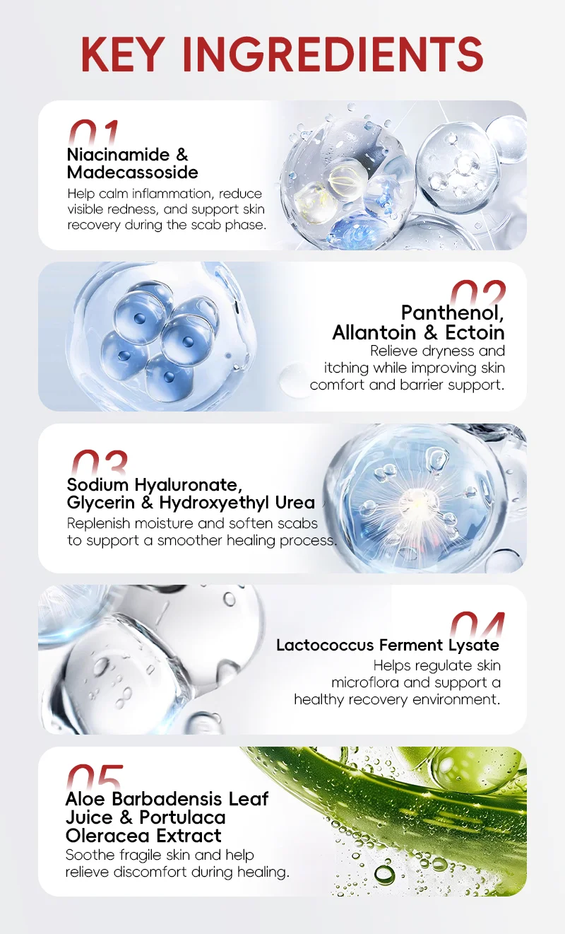 A detailed list of key skincare ingredients including niacinamide, panthenol, sodium hyaluronate, lactococcus ferment lysate, and aloe extract with their benefits.